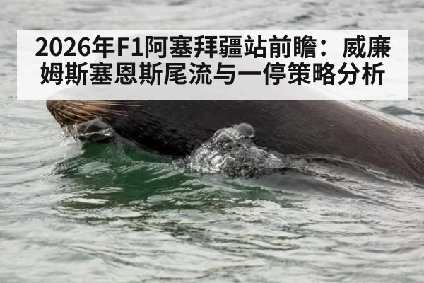 2026年F1阿塞拜疆站前瞻:威廉姆斯塞恩斯尾流与一停策略分析