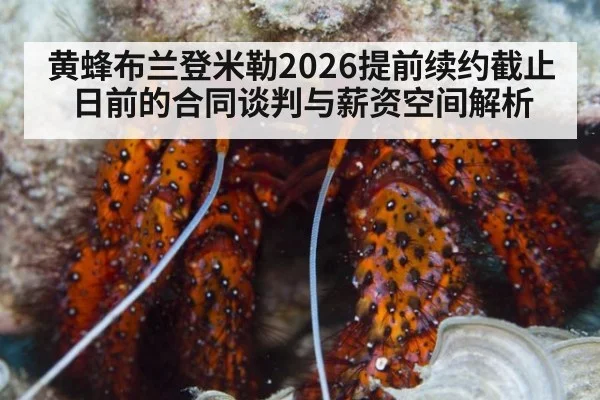 黄蜂布兰登米勒2026提前续约截止日前的合同谈判与薪资空间解析